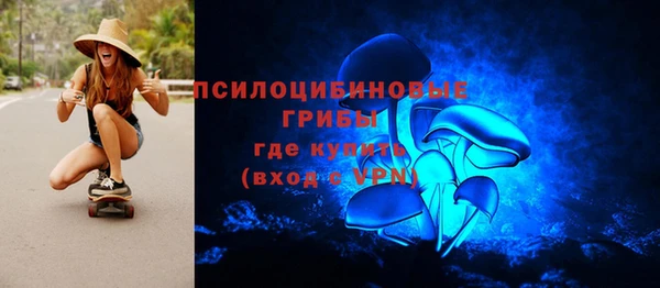 бутират Мегион