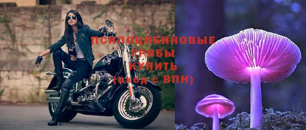 бутират Мегион