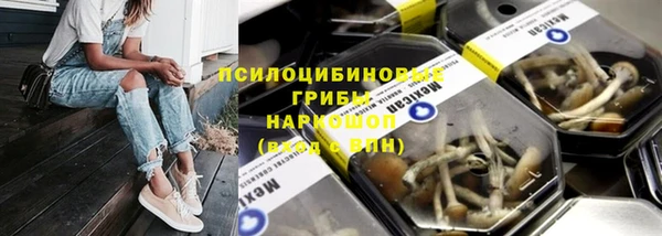 бутират Мегион